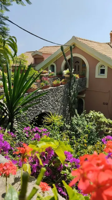 Nakis Dream View · Garden surroundings · Photograph 5