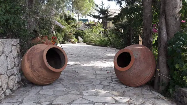 Nakis Dream View · Garden surroundings · Photograph 35