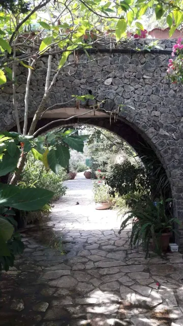 Nakis Dream View · Garden surroundings · Photograph 36