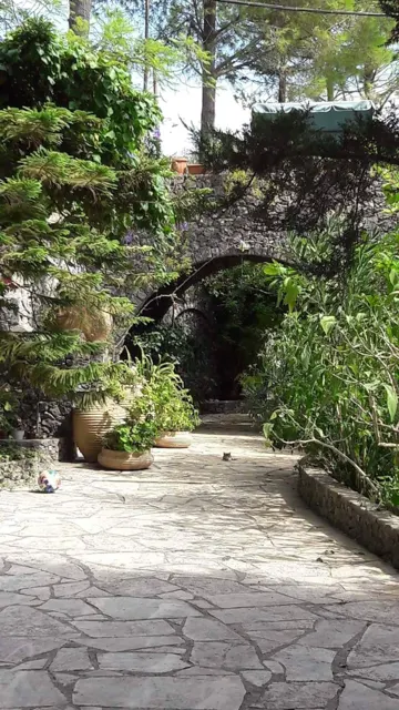 Nakis Dream View · Garden surroundings · Photograph 38