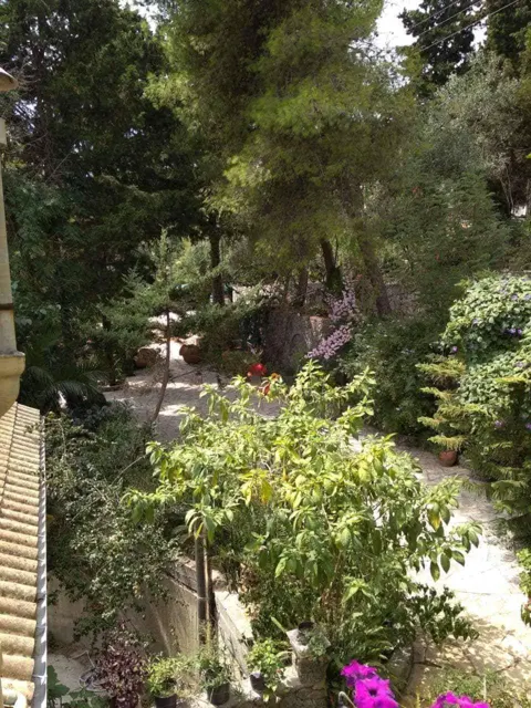 Nakis Dream View · Garden surroundings · Photograph 39