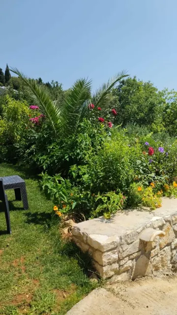 Ionian Sea View Studio · Garden surroundings · Photograph 3