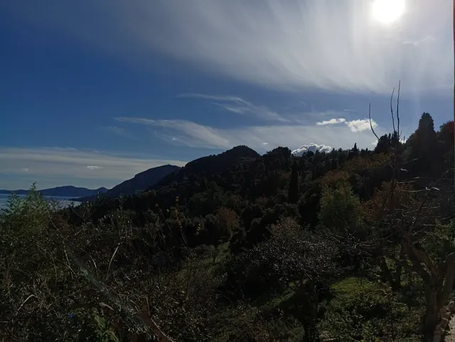 Ionian Sea View Studio · Garden surroundings · Photograph 24