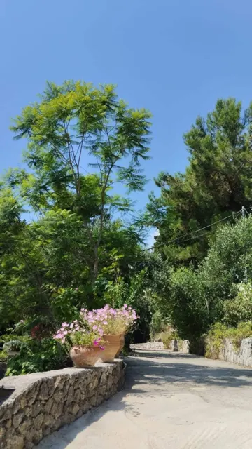 Ionian Sea View Studio · Garden surroundings · Photograph 25