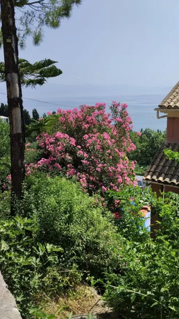 Ionian Sea View Studio · Garden surroundings · Photograph 27