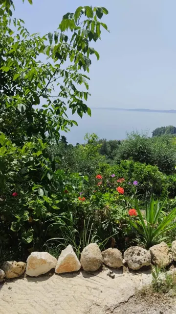 Ionian Sea View Studio · Garden surroundings · Photograph 28