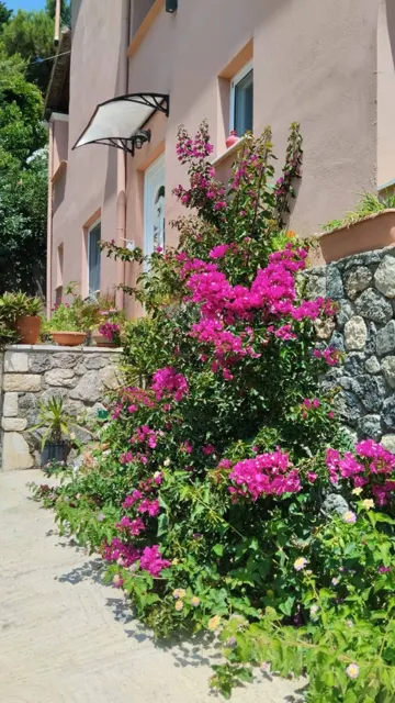 Ionian Sea View Studio · Garden surroundings · Photograph 29