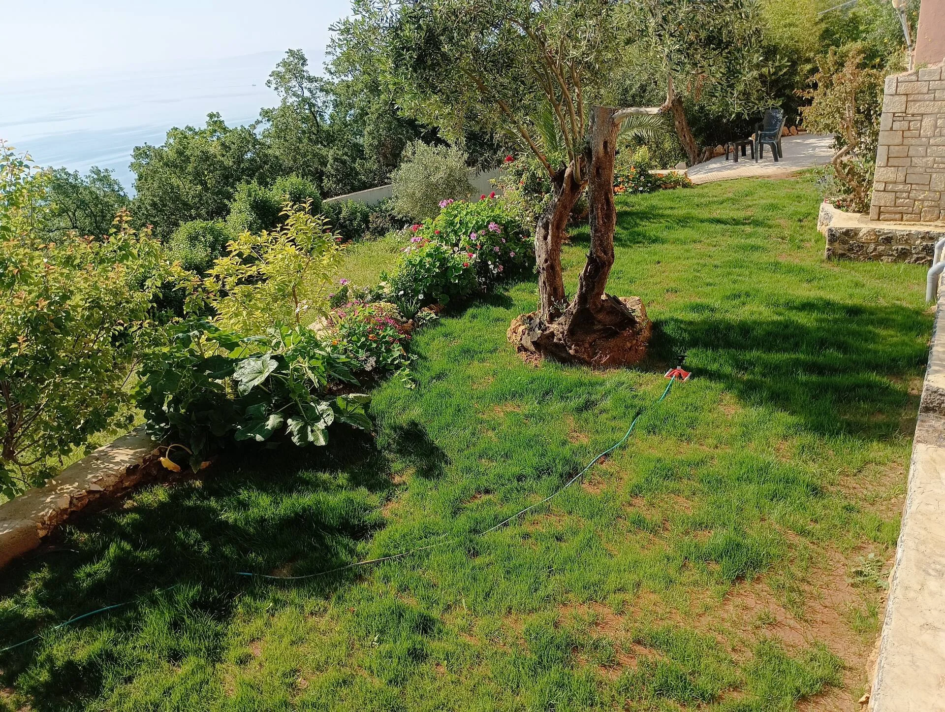 Ionian Sea View Studio · Garden surroundings · Photograph 31