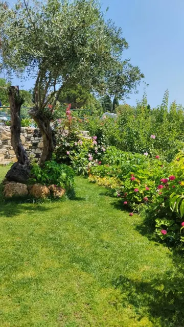 Ionian Sea View Studio · Garden surroundings · Photograph 32