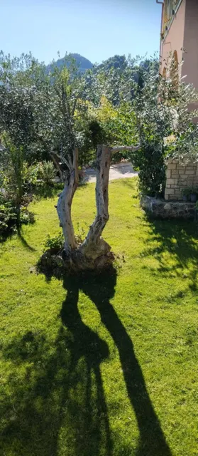 Ionian Sea View Studio · Garden surroundings · Photograph 33