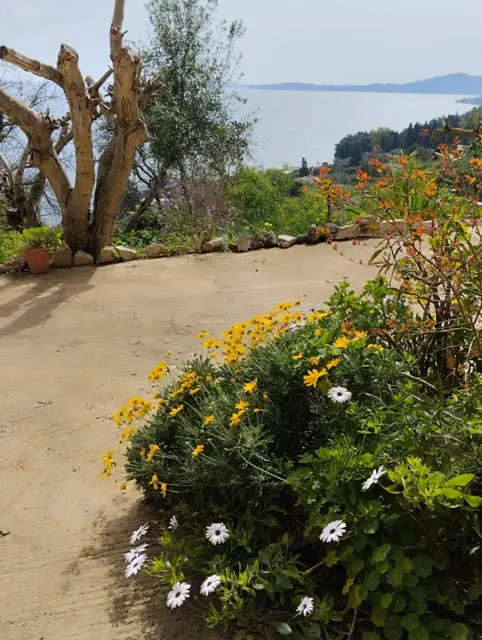 Ionian Sea View Studio · Garden surroundings · Photograph 35