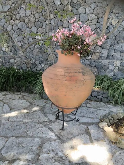 Ionian Sea View Studio · Garden surroundings · Photograph 36