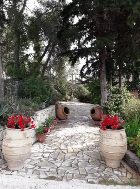 Ionian Sea View Studio · Garden surroundings · Photograph 38